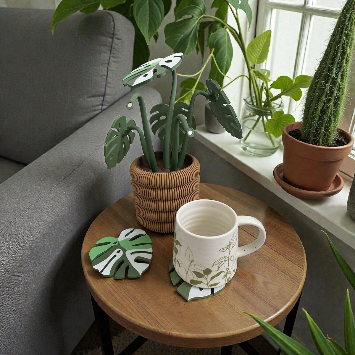 Monstera Leaf Coaster Plant