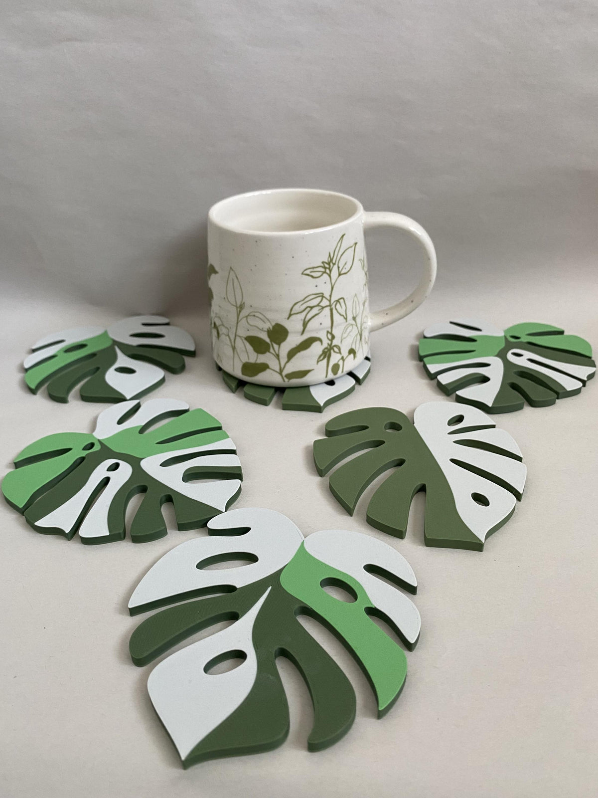 Monstera Leaf Coaster Plant